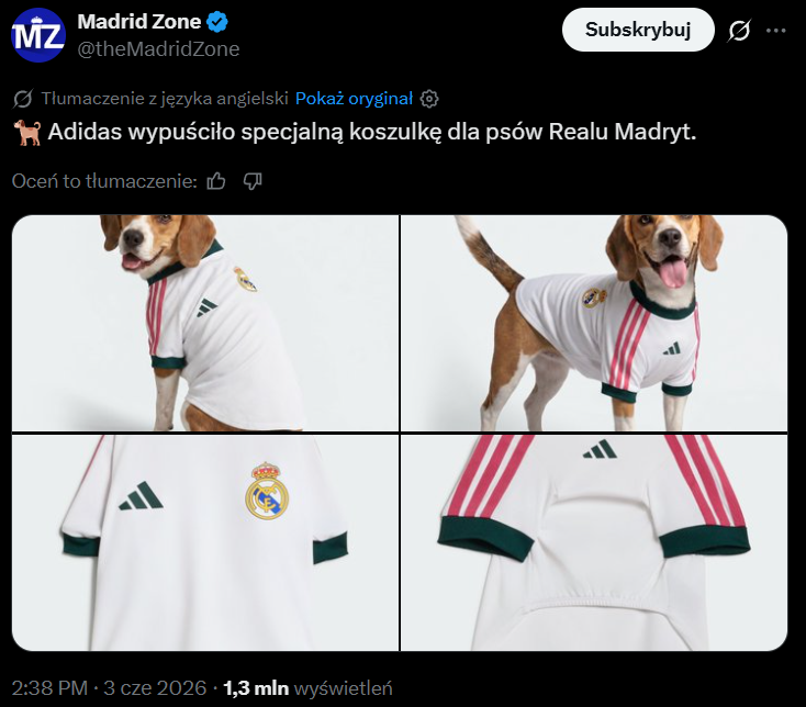 HIT! Taką KLUBOWĄ KOSZULKĘ Adidas wypuścił dla... PSÓW!